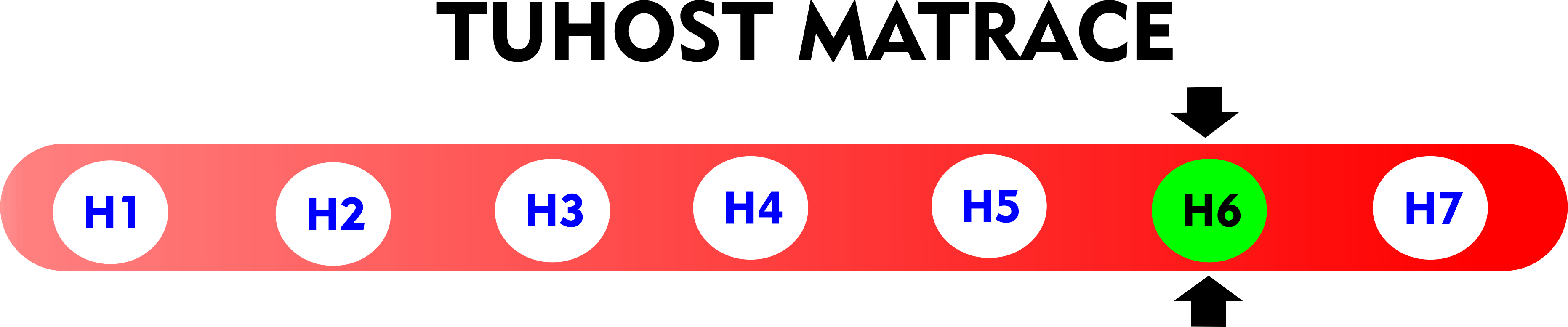 TUHOST BAZYL h6